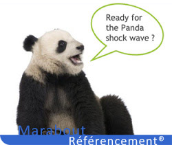 Google Panda