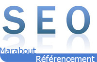 Référencement Organique