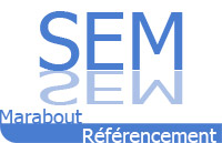 Référencement Publicitaitre - SEM